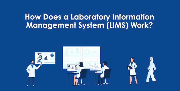 lims系统解决方案（lims实验室管理系统）